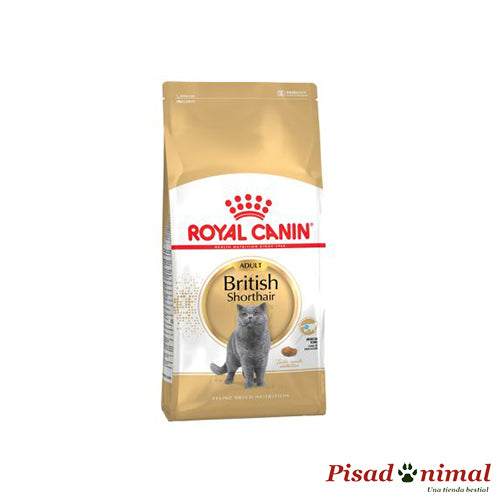 Pienso ROYAL CANIN BRITISH SHORTHAIR 2 Kg para Gatos Adultos