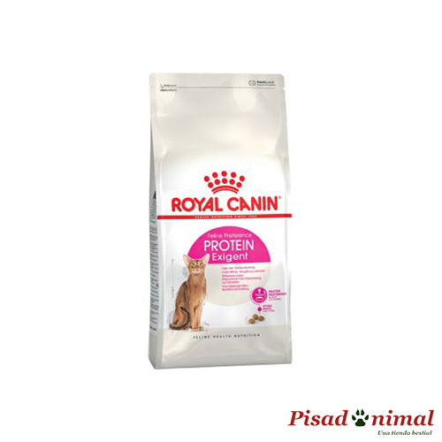 Pienso ROYAL CANIN PROTEIN EXIGENT para Gatos Adultos Exigentes