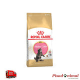 Pienso ROYAL CANIN KITTEN MAINE COON 10 Kg para Gatitos