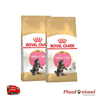 2 Sacos 10 Kg Pienso ROYAL CANIN KITTEN MAINE COON para Gatitos