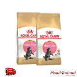2 Sacos 10 Kg Pienso ROYAL CANIN KITTEN MAINE COON para Gatitos