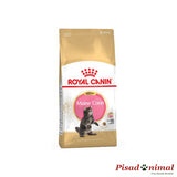 Pienso ROYAL CANIN KITTEN MAINE COON 4 Kg para Gatitos