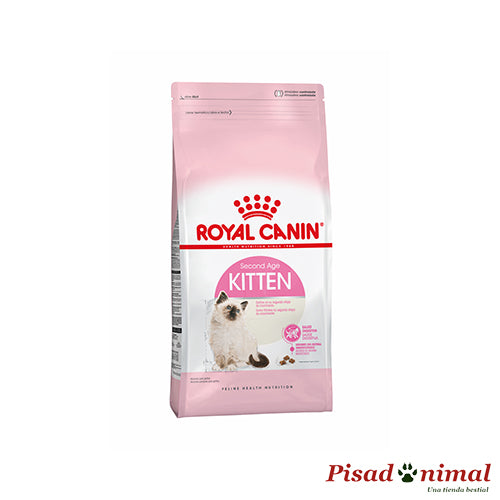 Pienso ROYAL CANIN KITTEN para Gatitos