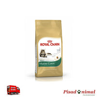 Pienso ROYAL CANIN MAINE COON 10 Kg para Gatos Adultos