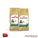 2 Sacos 10 Kg Pienso ROYAL CANIN MAINE COON para Gatos Adultos