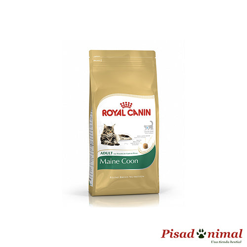 Pienso ROYAL CANIN MAINE COON para Gatos Adultos