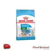 Pienso ROYAL CANIN MINI STARTER 8,5 Kg para Madres y Cachorros de Raza Pequeña