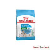 Pienso ROYAL CANIN MINI STARTER para Madres y Cachorros de Raza Pequeña