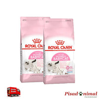 2 Sacos 8 Kg Pienso ROYAL CANIN MOTHER&BABYCAT para Gatitos y Madres Lactantes