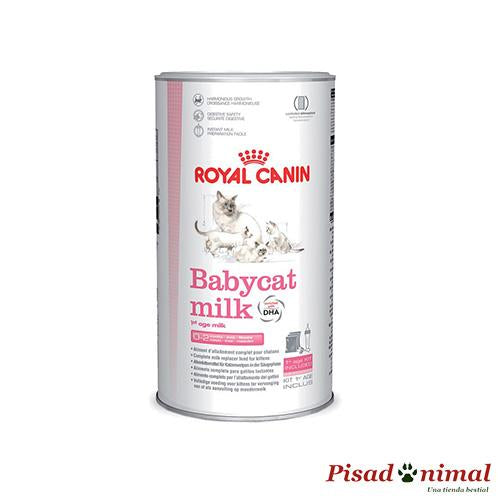 Royal Canin Babycat Milk leche para gatitos 300gr