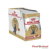 Caja de paté Royal Canin British Shorthair