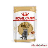 Sobre de paté Royal Canin British Shorthair  85gr