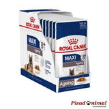 Caja de mousse Royal Canin Canine Maxi Ageing8+ - 10x140gr