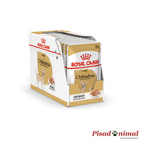 Caja de sobres Royal Canin Chihuahua 85gr para perros adultos (12x85gr)