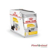 Caja de paté Royal Canin Dermacomfort - 12x85gr