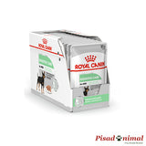 Caja de paté Royal Canin Digestive Care - 12x85gr