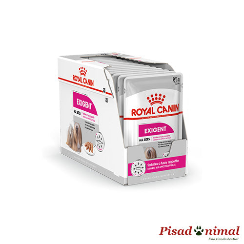 Caja de paté Royal Canin Exigent - 12x85gr