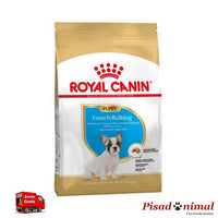 Pienso ROYAL CANIN FRENCH BULLDOG JUNIOR 10 Kg