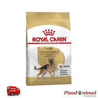 Pienso ROYAL CANIN GERMAN SHEPHERD ADULT 11 Kg