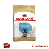 Pienso ROYAL CANIN GERMAN SHEPHERD JUNIOR 12 Kg