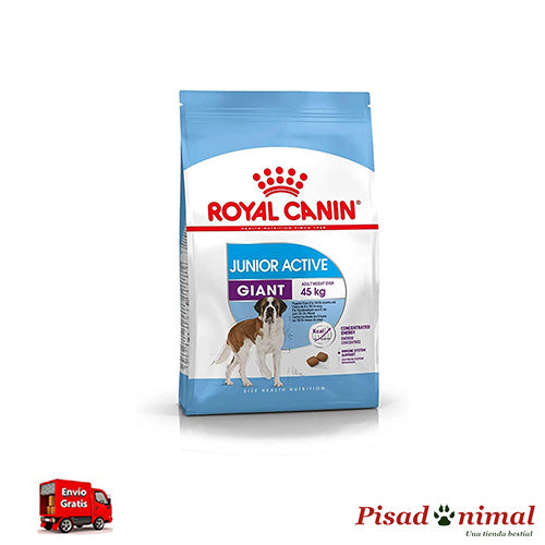 ROYAL CANIN GIANT JUNIOR Pienso para Perros de Raza Gigante (De 8 a 24 Meses)