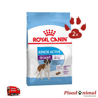 ROYAL CANIN GIANT JUNIOR Pienso para Perros de Raza Gigante (De 8 a 24 Meses) Pack 2 sacos