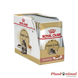 Caja de paté Royal Canin Maine Coon