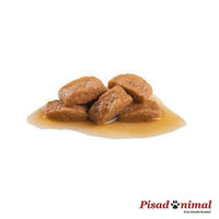 Comida húmeda  Royal Canin Canine Maxi Adult Wet