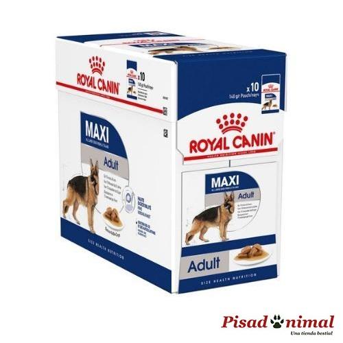 Caja de mousse Royal Canin Canine Maxi Adult Wet perros adultos grandes - 10x140gr