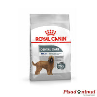 Royal Canin Pienso Anti sarro Maxi Dental Care