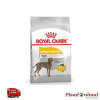 Royal Canin Maxi Dermacomfort (10Kg)