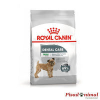 Royal Canin Mini Dental Care Pienso perros Pequeños
