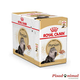 ALimento húmedo para gatos persa en formato paté royal canin