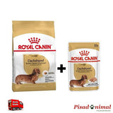 Pienso para perros teckel adultos saco 7,5 Kg + 12 sobres de comida húmeda de Royal Canin