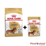 Pienso para perros teckel adultos saco 1,5 Kg + 12 Sobres de comida húmeda de Royal Canin