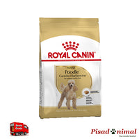 ROYAL CANIN POODLE ADULT 7,5 Kg Pienso para Perros Adultos de Raza Caniche