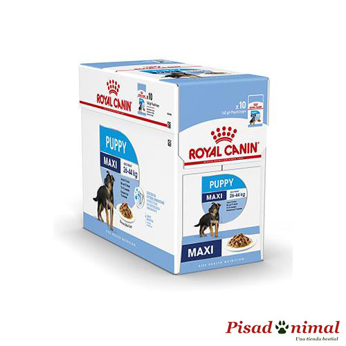 Royal Canin Puppy Maxi Wet Comida Húmeda Cachorros 10 x 140 gr