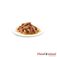 Royal Canin Puppy Maxi Wet Comida Húmeda Cachorros Salsa