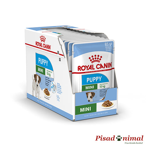 Caja de paté Royal Canin Puppy Mini - 12x85gr
