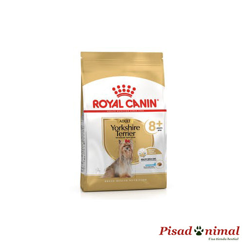 Pienso para perros adultos  de más de 8 años de la raza Yorkshire Terrier de Royal Canin