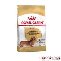 Pienso para perros teckel adultos saco 1,5 Kg de Royal Canin