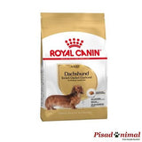 Pienso para perros teckel adultos saco 1,5 Kg de Royal Canin
