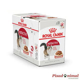 Salsa Royal Canin Instinctive - 12x85gr