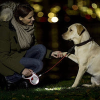 Sistema de luz led para correas Flexi extensible