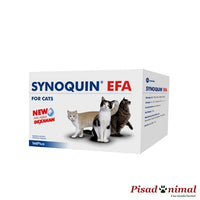 Condroprotector Synoquin EFA Gatos 