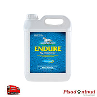 Endure VetNova recarga insecticida polivalente 3,8L