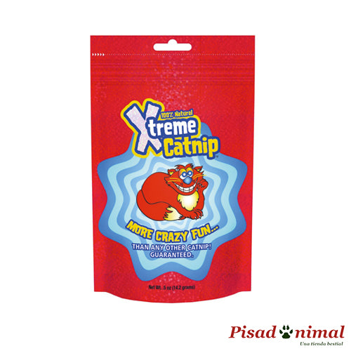 14,2 gr de X-treme Catnip hierba gatera natural para gatos de VetNova