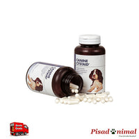 Cystaid Canino 120 cápsulas Vetplus