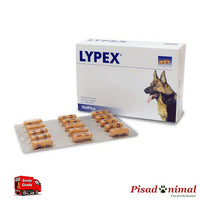 Lypex 60 Cápsulas Vetplus