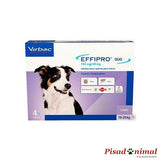 Effipro Duo perros medianos 4 Pipetas Virbac